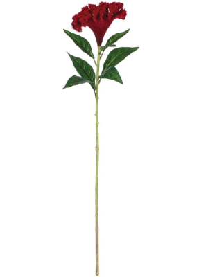 Sullivans Artificial Celosia Stem 33"h Green