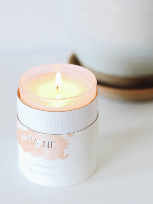 Maine Candle