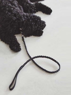 Bergamo Braided City Dog Leash