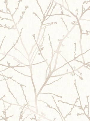 Innocence Wallpaper In Stone And Cream From The Innocence Collection By Graham & Brown