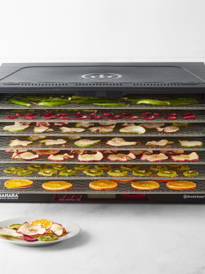 Sahara Folding Dehydrator With Stainless Steel Shelves