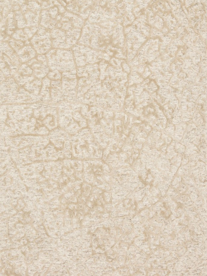 Juneau Rug In Ivory & Beige By Loloi