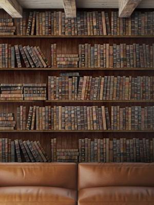 Book Shelves Wallpaper