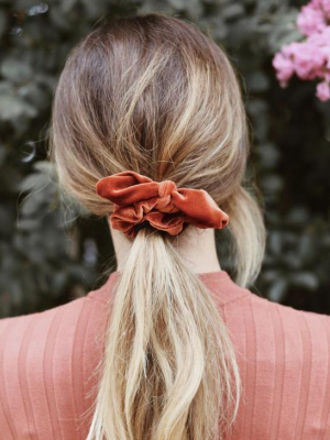 Velvet Bow Scrunchie