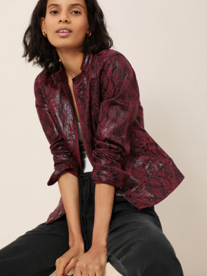 Sanctuary Kori Snake-printed Moto Jacket