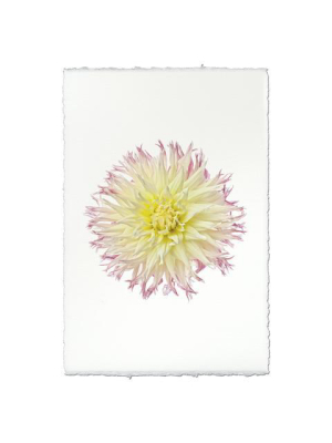 Dahlia Print - My Beverly