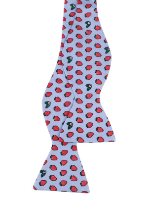 Limited Edition Nola Couture X Haspel Lt. Blue Strawberry Print Bow Tie - O/s