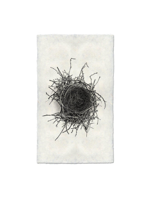 Nest Study #2 Framed Art