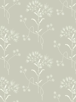 Wildflower Wallpaper In Gray From Magnolia Home Vol. 2 By Joanna Gaines