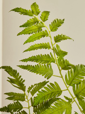 Artificial Fern Spray