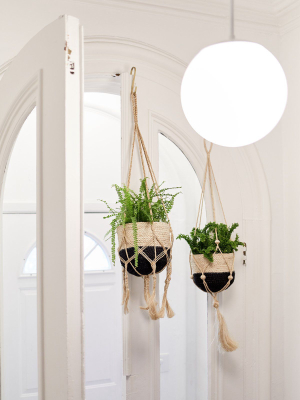 Bitan Plant Hanger Set