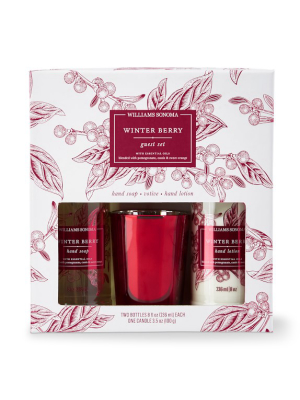 Williams Sonoma Winter Berry Guest Set