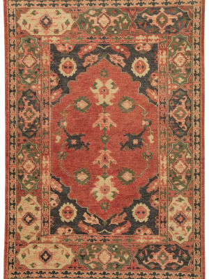 Azra Hand-knotted Floral Red & Black Area Rug