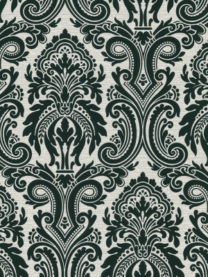 Apollo Modern Damask Wallpaper In Black By Brewster Home Fashions