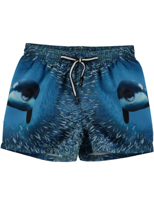 Molo Niko Shorts - Orcra