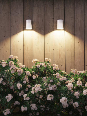 Beacon Outdoor Led Wall Light