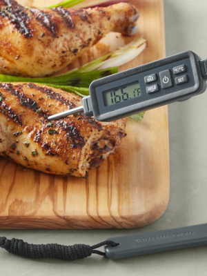 Williams Sonoma Outdoor Waterproof Pen Thermometer