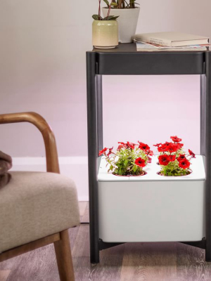 Miracle-gro® Twelve™ Indoor Growing System