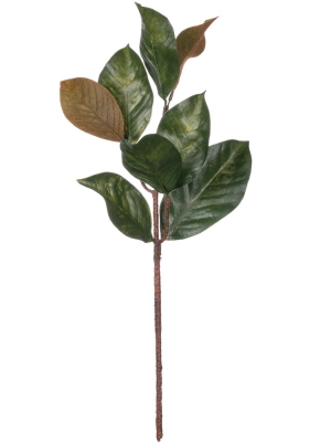 Sullivans Artificial Magnolia Leaf Stem 27"h Green