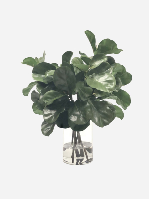 Fiddle Leaf In Vase