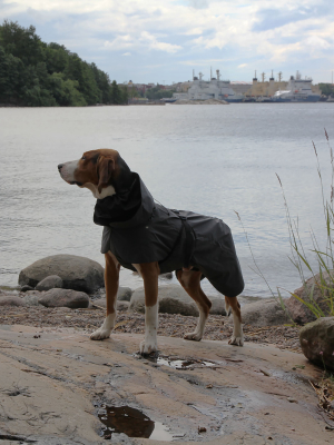 Dog Visibility Raincoat