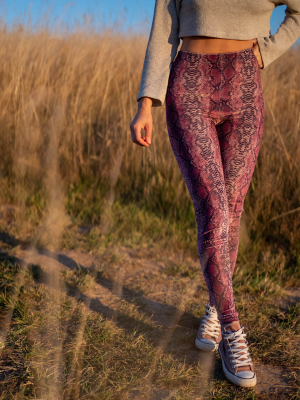 Pink Python High-waisted Velvet Leggings | Women's