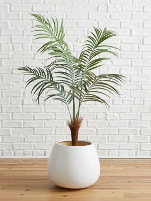 Faux Potted Fan Palm Tree - 4'