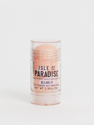 Isle Of Paradise Blend It Gradual Touch Up Stick