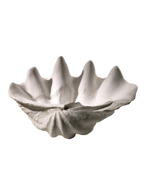 Clam Shell Bowl