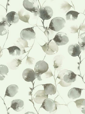 Eucalyptus Trail Wallpaper In Grey And Taupe By Antonina Vella For York Wallcoverings