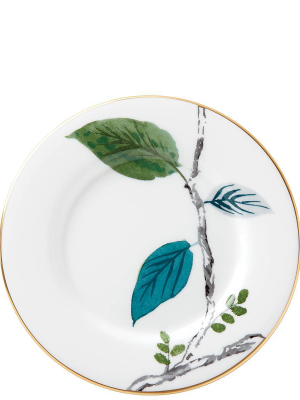 Birch Way Saucer