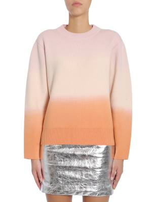 Proenza Schouler Gradient Effect Jumper