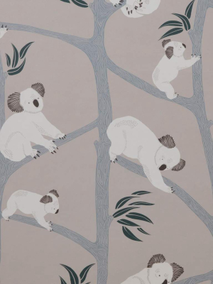 Koala Wallpaper Grey