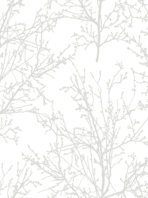 Tree Branches Peel-and-stick Wallpaper In Pearl Grey By Nextwall