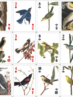 3-d Bird Playing Cards