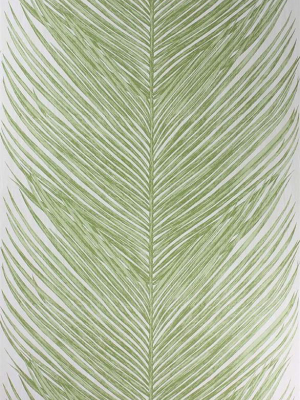 Mey Fern Wallpaper In Green By Nina Campbell For Osborne & Little