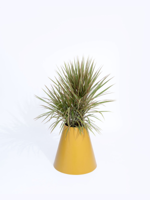 Cone Planter