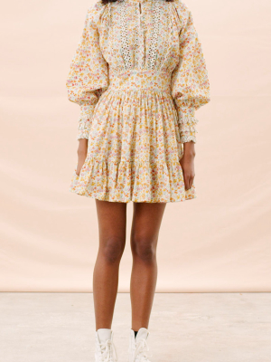 Broderie-trimmed Cotton Mini Dress