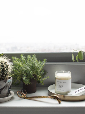 Fern + Moss Minimalist Candle