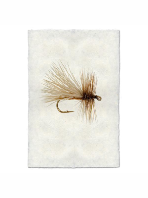 Fly Fishing Print - Caddis Variant