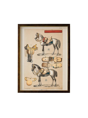 Equestrian Print Iii