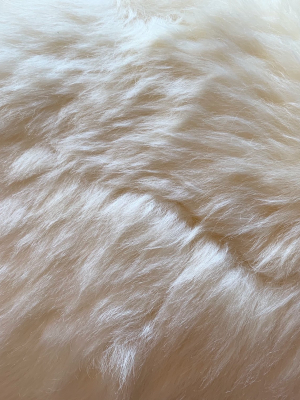 Brazilian Sheepskin Pillow, 22"