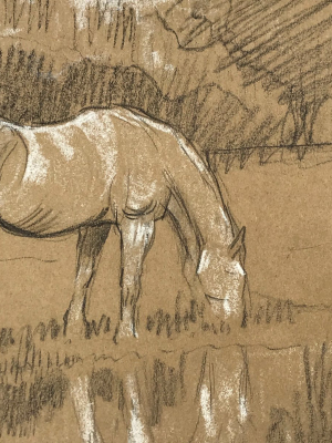 Evert Rabbers Horse Drawing 53