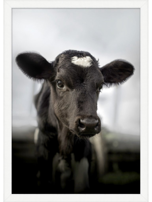 Blu Art Baby Calf