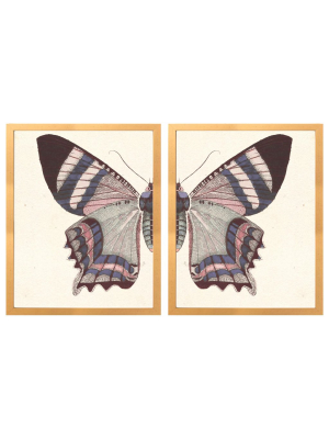 Vintage Blush Butterfly Diptych