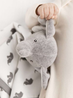 Cuddles The Lovey_grey Elephant