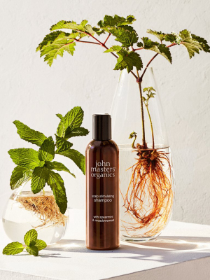 Scalp Stimulating Shampoo - Spearmint & Meadowsweet