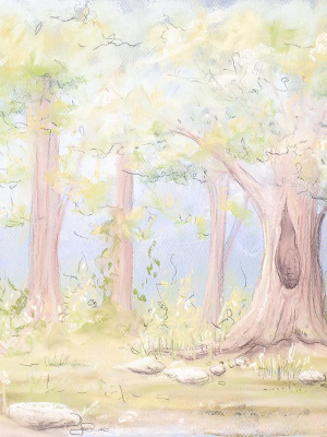 Storybook Woods