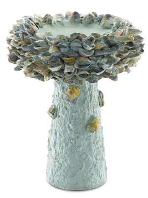 Oyster Shell Medium Bird Bath