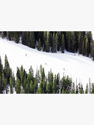 Gray Malin Three Skiers, Aspen Mini Print